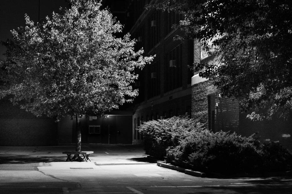 Black and white night view of single tree next to building in an empty lot.