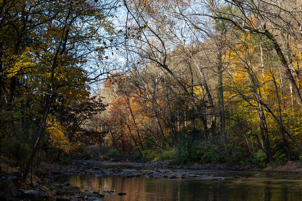 Color view of the Wissahickon Creek in Autumn